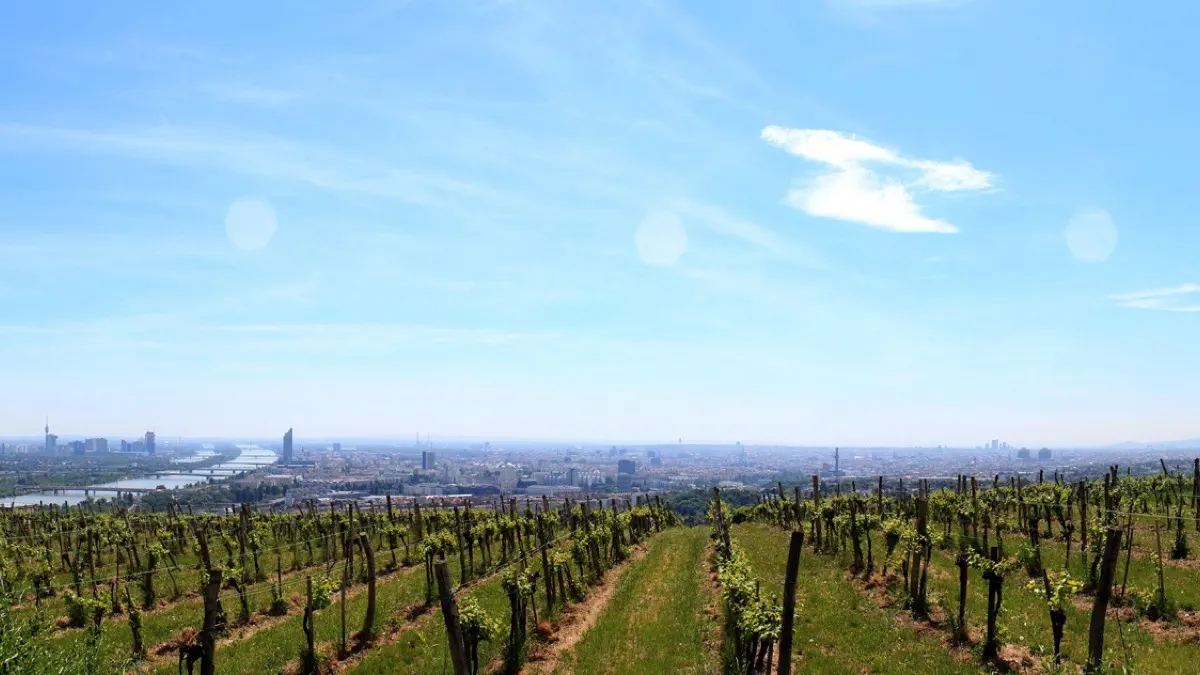 Symbolfoto: Wien-Panorama vom Kahlenberg