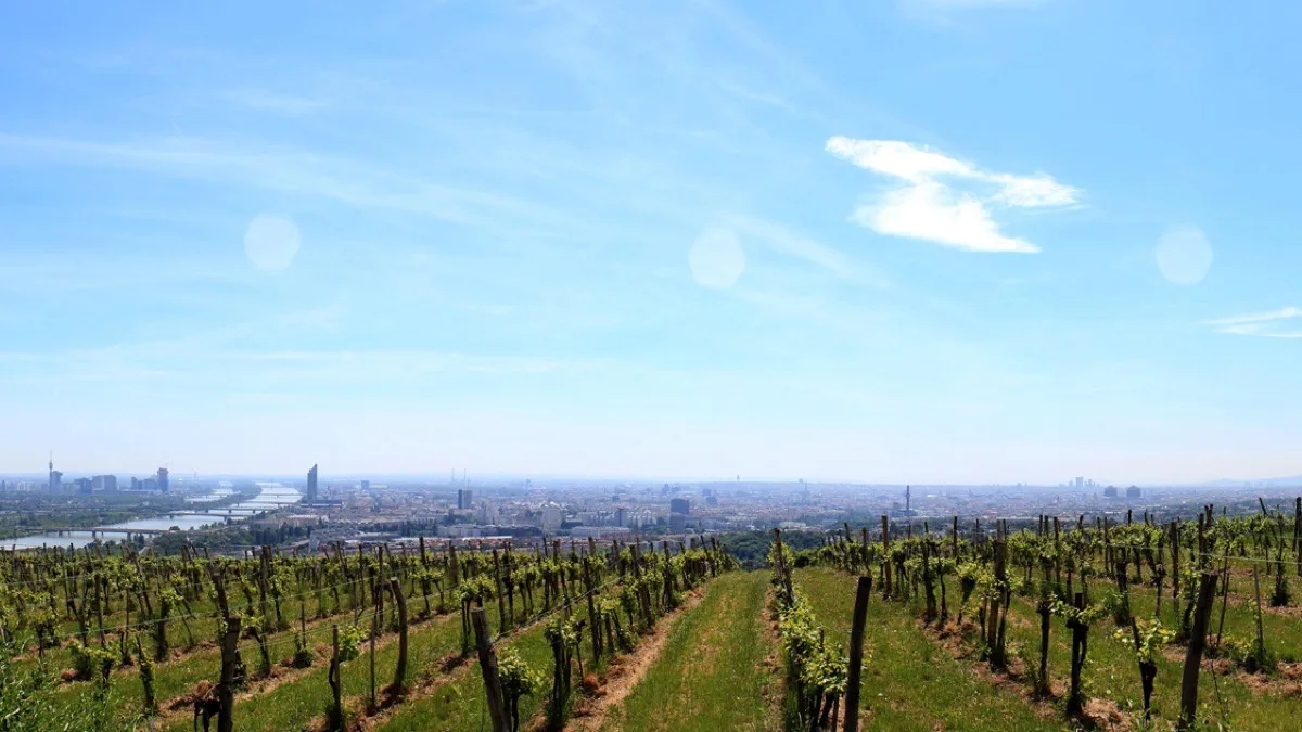 Symbolfoto: Wien-Panorama vom Kahlenberg