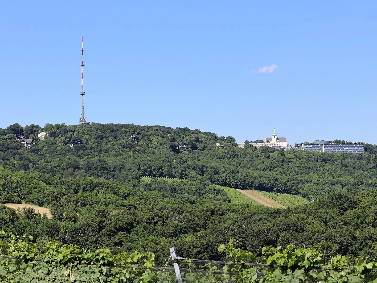 Blick vom Kahlenberg