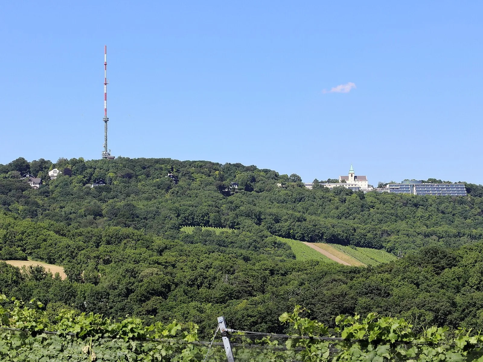 View from the Kahlenberg